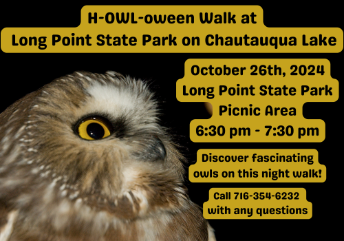 H-Owl-oween Walk at Long Point State Park