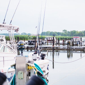 Fishing boats in Chadwick Bay on Lake Erie