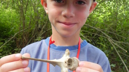 Little Explorers Skulls Teeth and Bones