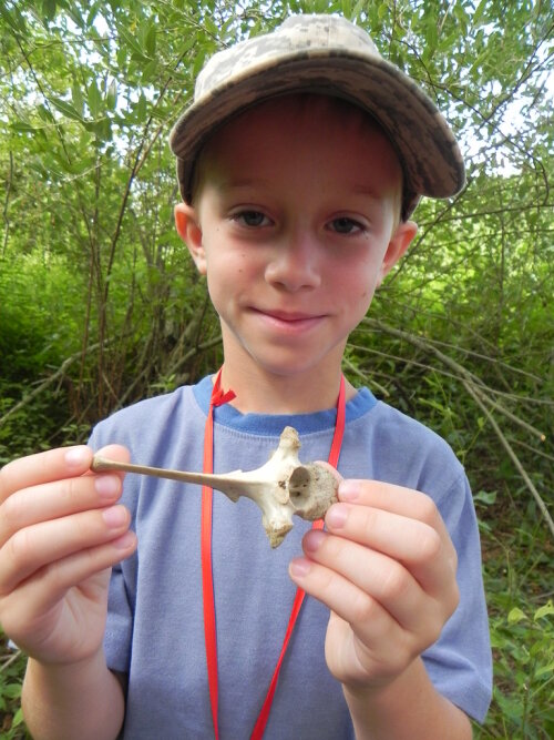 Little Explorers Skulls Teeth and Bones