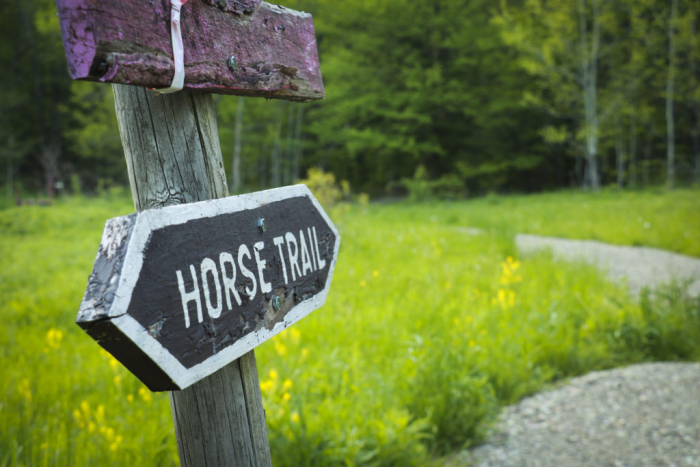 Sign notifying trail users of a "horse trail."