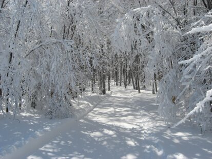 CCVB Cherry Creeks C4C Trail View