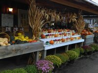 Fall Harvest and Gourds at Haff Acres Farm