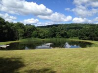 Charrington Creek Pond