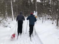 Cross Country Skiing - Boutwell Hill