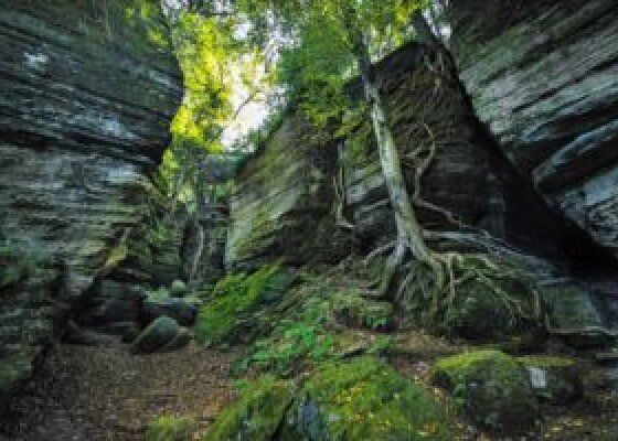 Rock Formations at Panama Rocks Scenic Park