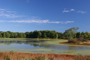 Big Pond at the Audubon Community Nature Center