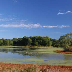 Big Pond at the Audubon Community Nature Center