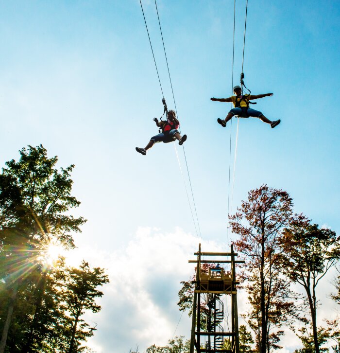 Giant Dual Zipline copy