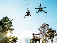 Giant Dual Zipline copy