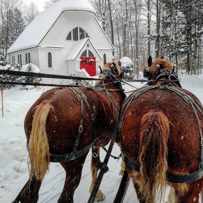 Winter horse-drawn sleigh ride at Chautauqua Institution