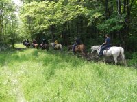 horseback riding on Double Dab trail in Chautauqua NY