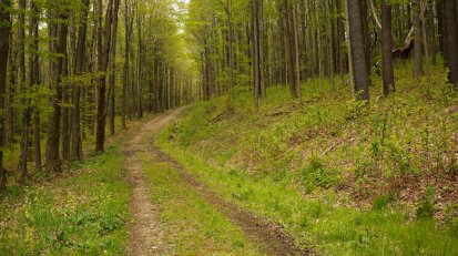 Eastside Overland Trail