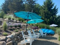 Blue Oar adirondack chairs