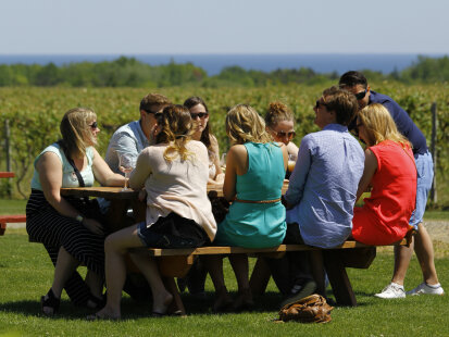 Lake Erie Wineries