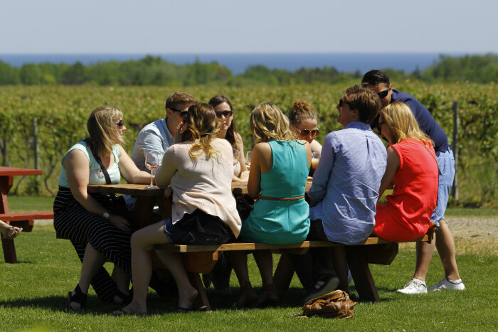 Lake Erie Wineries