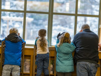 Doors Open Jamestown Roger Tory Peterson Institute Family looking out window by Joe Gustafson