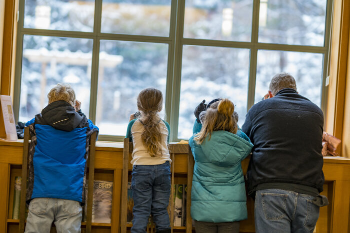 Doors Open Jamestown Roger Tory Peterson Institute Family looking out window by Joe Gustafson