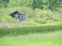 Audubon Community Nature Center big pond overlook