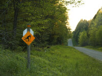 Boutwell Hill cross country ski sign