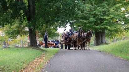 Saints and Sinners Horse Drawn Carriage Tours