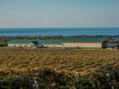 Autumn-Vineyards-LEWC-LR