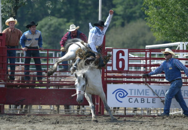 Man riding a bucking bronco at the Gerry Rodeo.