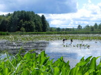 Audubon Community Nature Center Spadderdock Pond