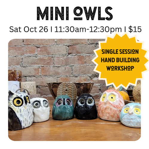 Mini Owls Saturday October 26