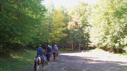 Chautauqua County Equestrain Trail System