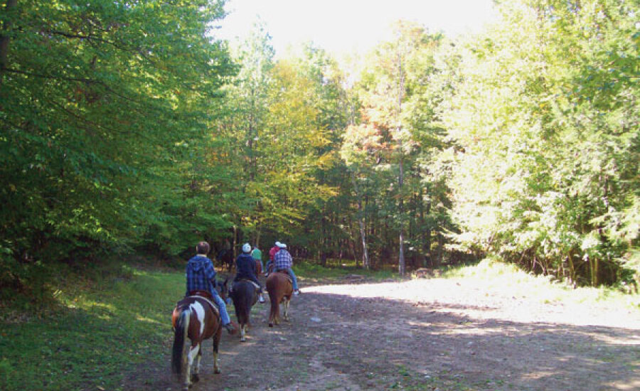 Chautauqua County Equestrain Trail System