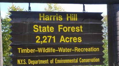 Harris Hill State Forest