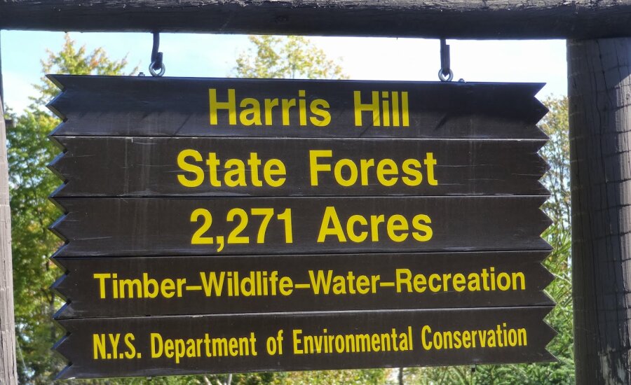 Harris Hill State Forest