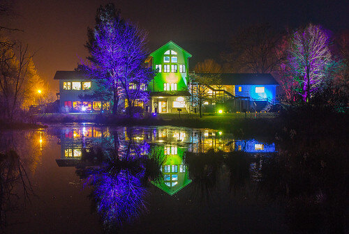 Audubon Lights