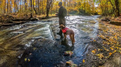 Man Fishing with Dog in Chautauqua Creek