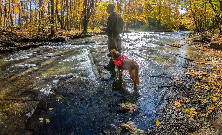 Man Fishing with Dog in Chautauqua Creek