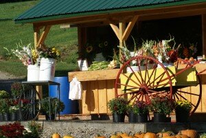 Farmer's Market in fall.