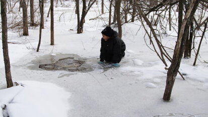 Little Explorers Winter Wetlands Audubon Community Nature Center