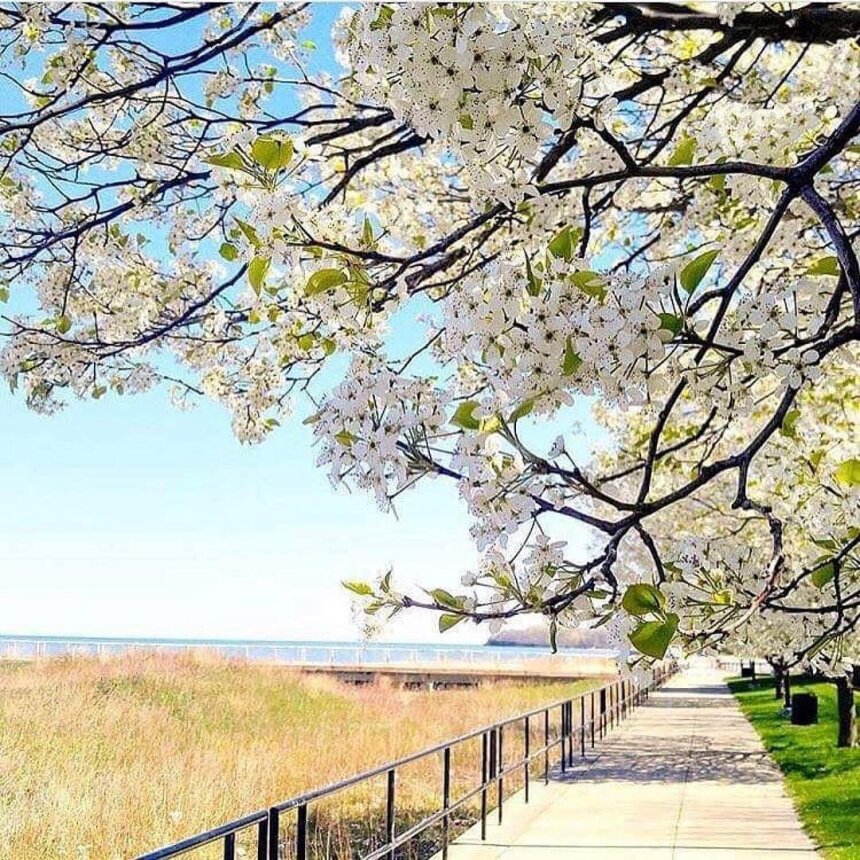 Dunkirk City Pier and Memorial Park in Bloom by @alexshipherd