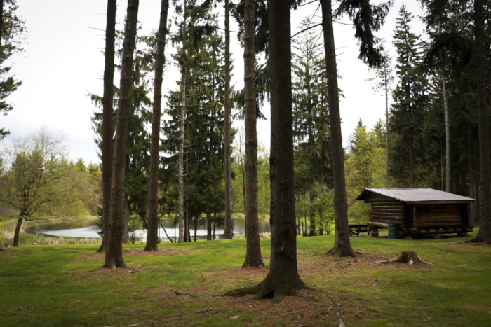 Lean-to and pond in a clearing on the Eastside Overland Trail