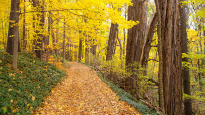 Chautauqua Gorge State Forest & Day -use Area