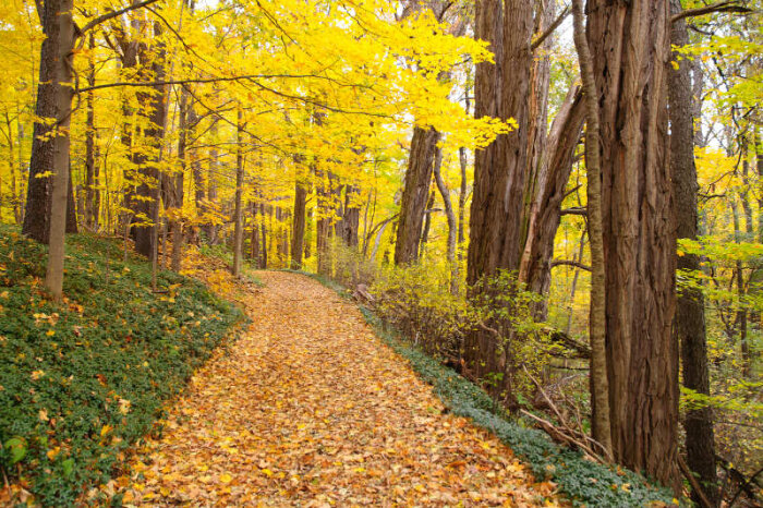 Chautauqua Gorge State Forest & Day -use Area