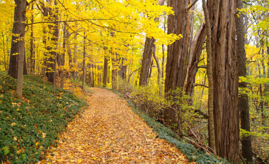 Chautauqua Gorge State Forest & Day -use Area