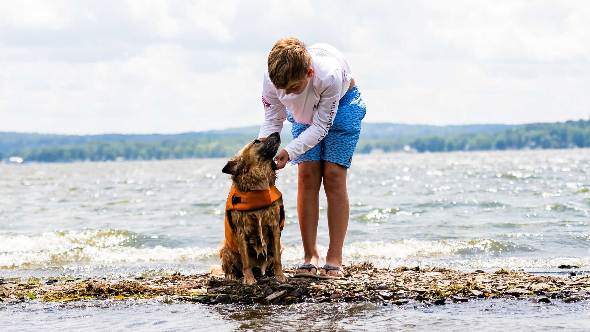 boy and dog