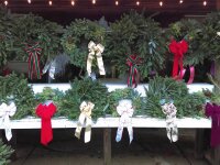 Christmas Trees and Holiday Wreaths at Haff Acres Farm