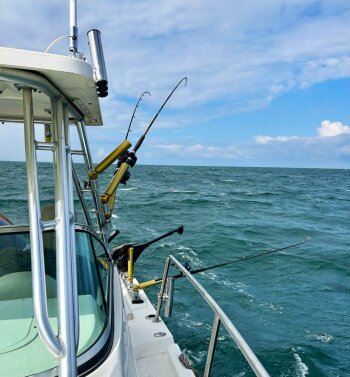 Lake Erie trolling lines Dr Peter Brookes