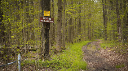 Westside Overland Trail with sign