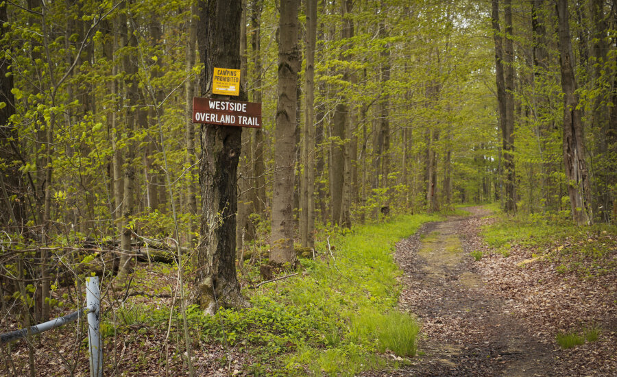 Westside Overland Trail with sign