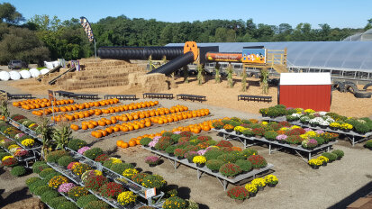 Harvest View Greenhouses