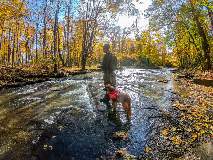 Trout-Fish-Chautauqua-Creek